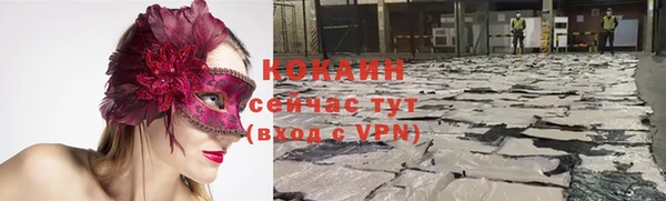 стафф Алексин