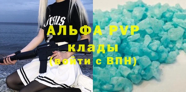 стафф Алексин