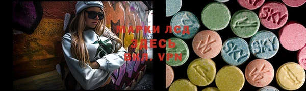 стафф Алексин